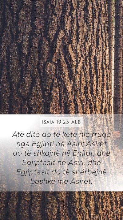 Isaia 19:23 ALB Bible Verse Image