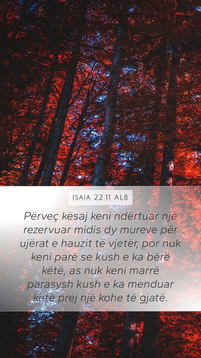 Isaia 22:11 ALB Bible Verse Image