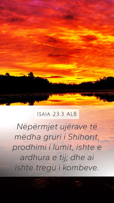 Isaia 23:3 ALB Bible Verse Image
