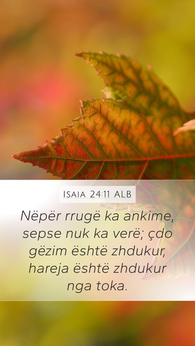 Isaia 24:11 ALB Bible Verse Image