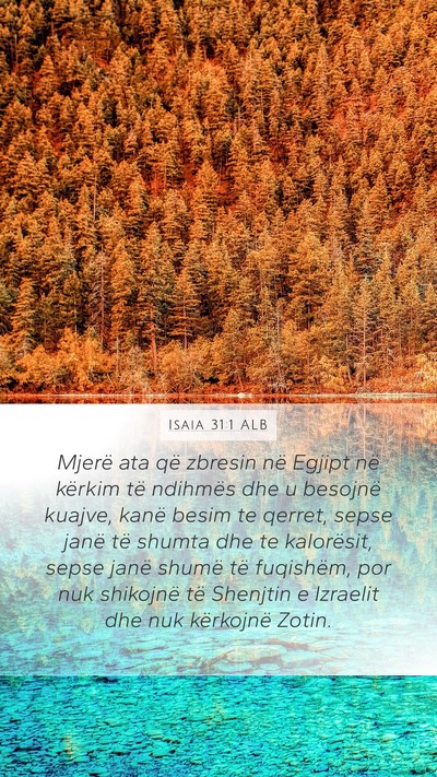 Isaia 31:1 ALB Bible Verse Image