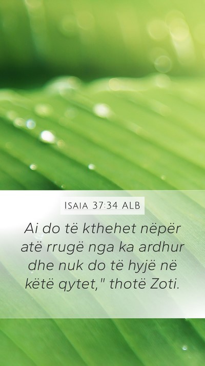 Isaia 37:34 ALB Bible Verse Image