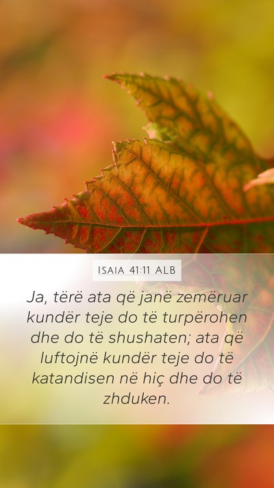 Isaia 41:11 ALB Bible Verse Image