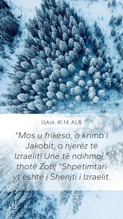 Isaia 41:14 ALB Bible Verse Image