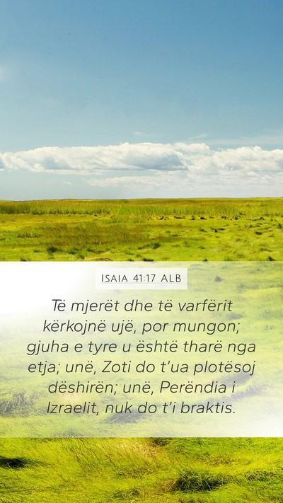 Isaia 41:17 ALB Bible Verse Image