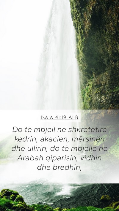 Isaia 41:19 ALB Bible Verse Image