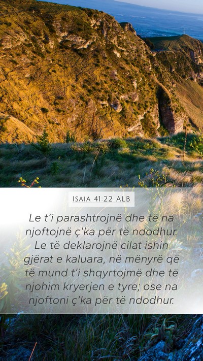 Isaia 41:22 ALB Bible Verse Image
