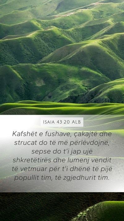 Isaia 43:20 ALB Bible Verse Image