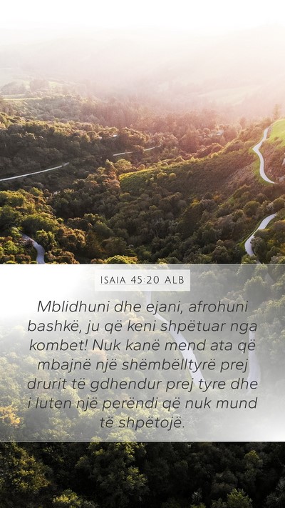 Isaia 45:20 ALB Bible Verse Image