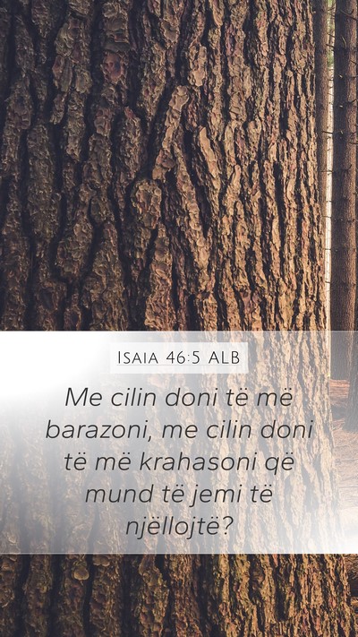 Isaia 46:5 ALB Bible Verse Image