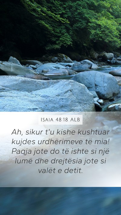 Isaia 48:18 ALB Bible Verse Image