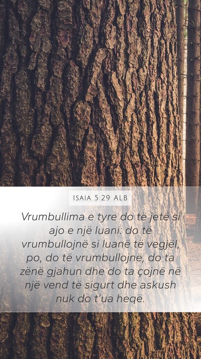 Isaia 5:29 ALB Bible Verse Image