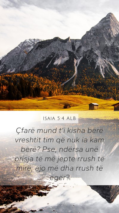 Isaia 5:4 ALB Bible Verse Image