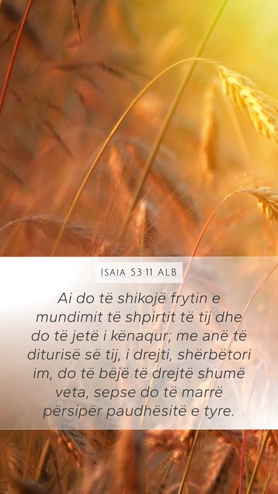 Isaia 53:11 ALB Bible Verse Image