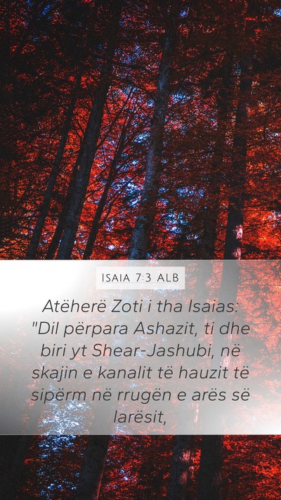 Isaia 7:3 ALB Bible Verse Image