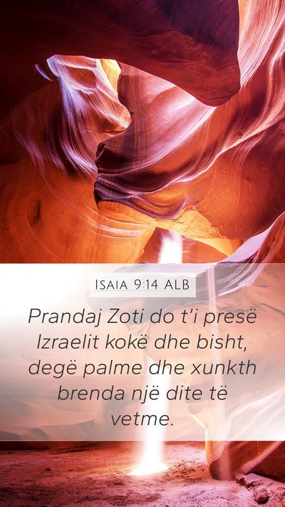 Isaia 9:14 ALB Bible Verse Image