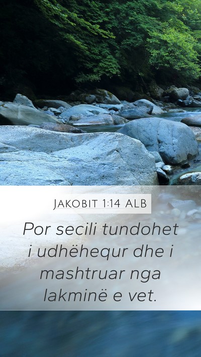 Jakobit 1:14 ALB Bible Verse Image