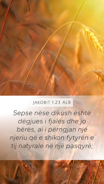 Jakobit 1:23 ALB Bible Verse Image