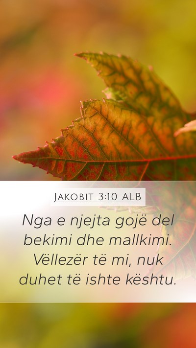 Jakobit 3:10 ALB Mobile Phone Wallpaper - Nga e njejta gojë del bekimi dhe mallkimi. - Mobile Bible Verse Wallpaper