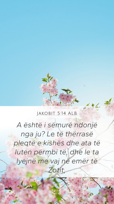Jakobit 5:14 ALB Bible Verse Image