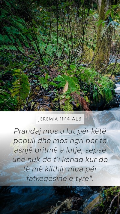 Jeremia 11:14 ALB Bible Verse Image