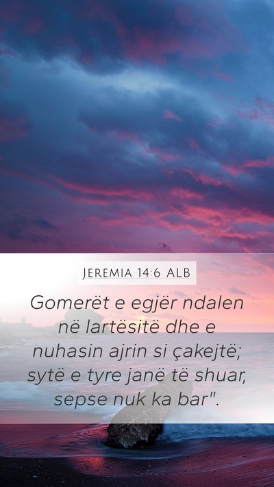 Jeremia 14:6 ALB Bible Verse Image