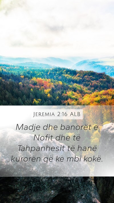 Jeremia 2:16 ALB Bible Verse Image