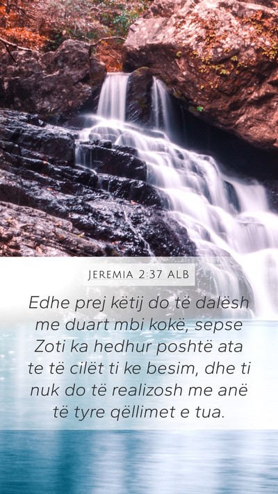 Jeremia 2:37 ALB Bible Verse Image