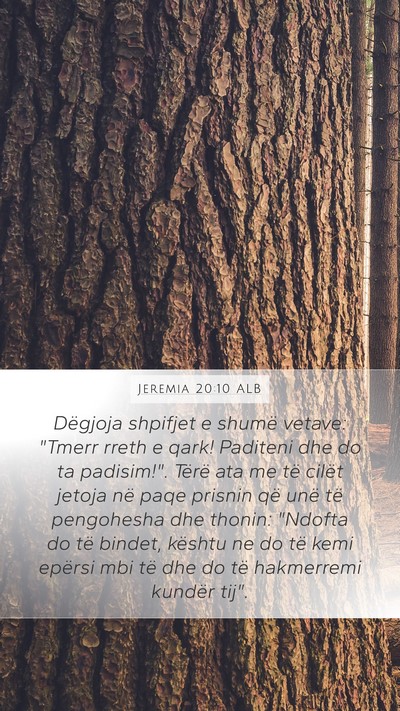 Jeremia 20:10 ALB Bible Verse Image