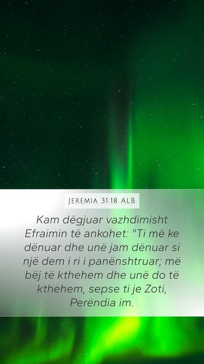 Jeremia 31:18 ALB Bible Verse Image
