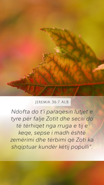 Jeremia 36:7 ALB Bible Verse Image