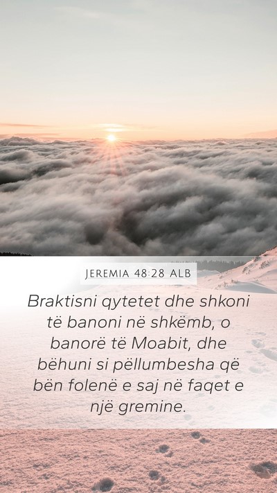 Jeremia 48:28 ALB Bible Verse Image