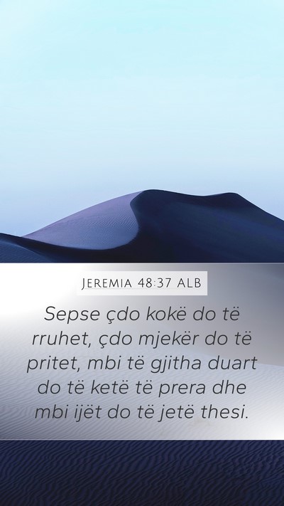 Jeremia 48:37 ALB Bible Verse Image