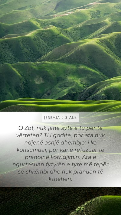 Jeremia 5:3 ALB Bible Verse Image
