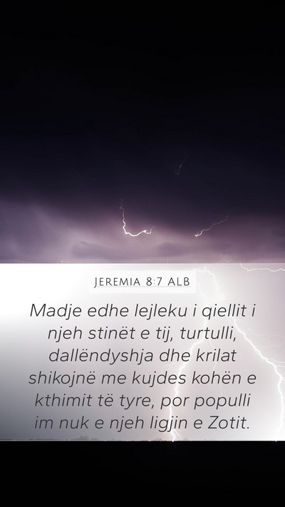 Jeremia 8:7 ALB Bible Verse Image