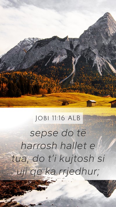 Jobi 11:16 ALB Mobile Phone Wallpaper - sepse do të harrosh hallet e tua, do t’i - Mobile Bible Verse Wallpaper