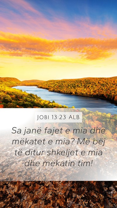 Jobi 13:23 ALB Bible Verse Image