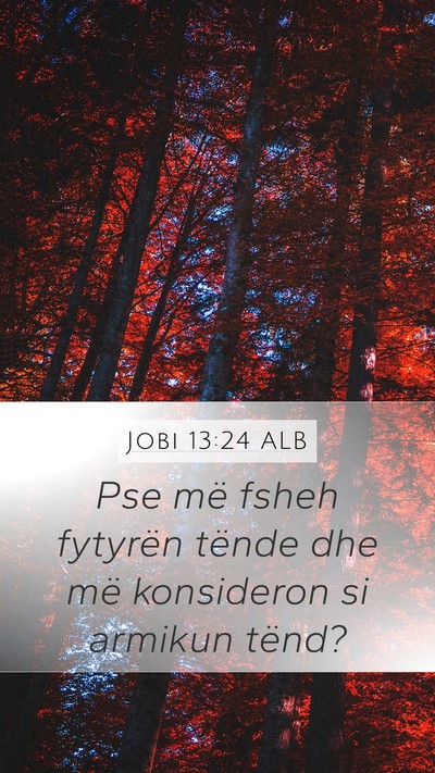 Jobi 13:24 ALB Bible Verse Image