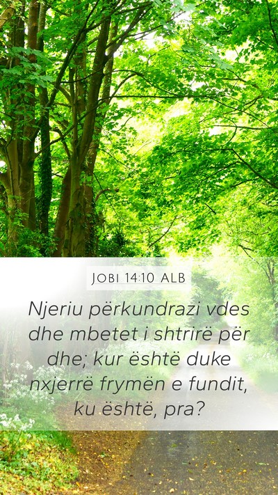 Jobi 14:10 ALB Bible Verse Image