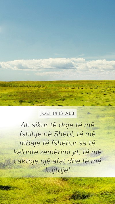 Jobi 14:13 ALB Bible Verse Image