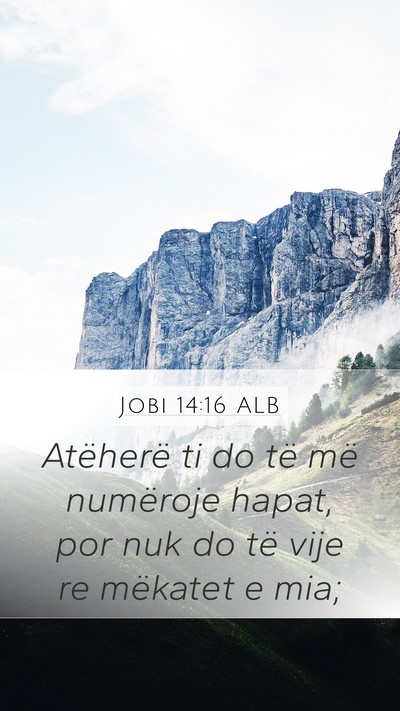 Jobi 14:16 ALB Bible Verse Image