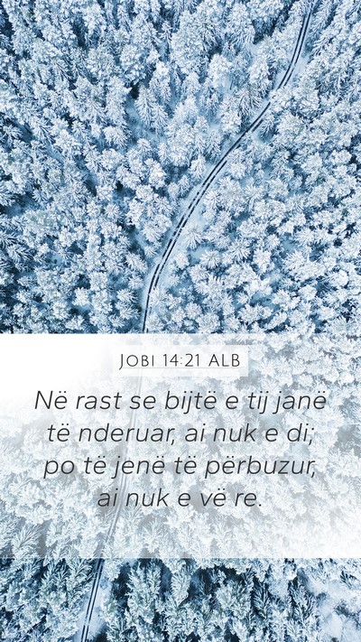 Jobi 14:21 ALB Bible Verse Image