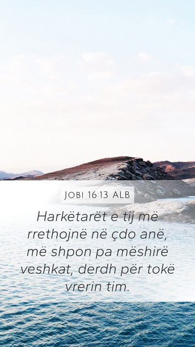 Jobi 16:13 ALB Bible Verse Image