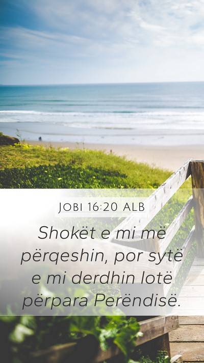 Jobi 16:20 ALB Bible Verse Image