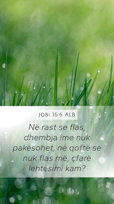 Jobi 16:6 ALB Bible Verse Image