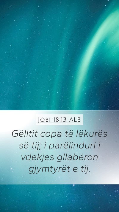 Jobi 18:13 ALB Bible Verse Image
