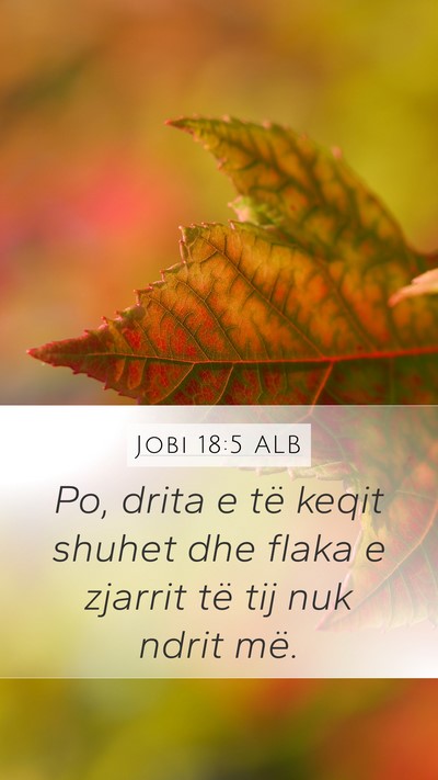 Jobi 18:5 ALB Bible Verse Image