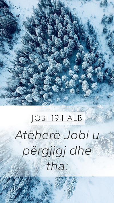 Jobi 19:1 ALB Mobile Phone Wallpaper - Atëherë Jobi u përgjigj dhe - Mobile Bible Verse Wallpaper