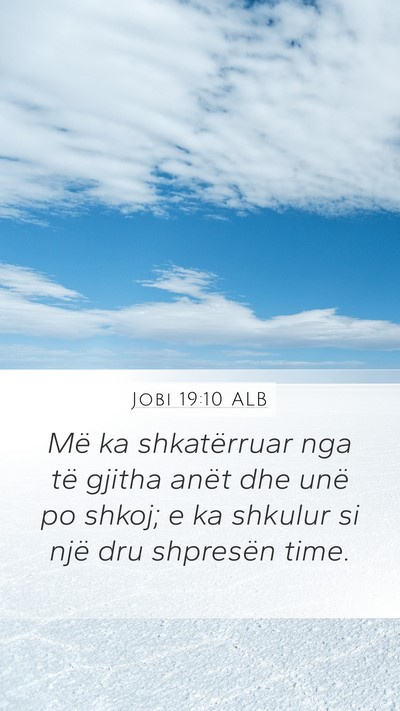 Jobi 19:10 ALB Bible Verse Image