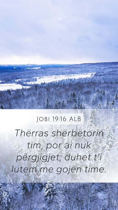 Jobi 19:16 ALB Bible Verse Image